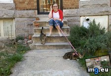 Tags: big, cat, cats, head, heart, life, stray, tiny (Pict. in My r/CATS favs)