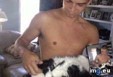 Tags: cats, kitty, rip (Pict. in My r/CATS favs)