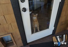 Tags: cats, day (Pict. in My r/CATS favs)