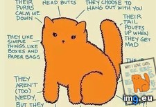 Tags: cats, love (Pict. in My r/CATS favs)