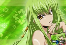 Cc Green Wall D (HD) (#Wall #Green ) - 112 KB Tags: green, wall (Pict. in HD Wallpapers - anime, games and abstract art/3D backgrounds)