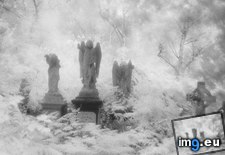 Tags: black, cemetery, dark, photo, sad, snow, white (Pict. in Rehost)