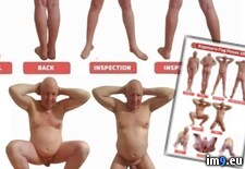 Tags:  (Pict. in Exposed Faggot Poses)