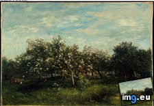 Tags: apple, blossoms, charles, daubigny, fran, ois (Pict. in Metropolitan Museum Of Art - European Paintings)