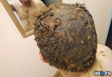 Tags: christof, gayscat, jahn, likes, porn, shit (Pict. in Christof Jahn likes shit)