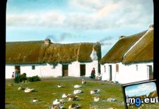 Tags: claddagh, cottages, fishing, front, galway, geese, grass, village (Pict. in Branson DeCou Stock Images)