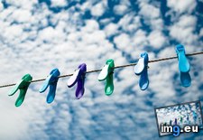 Tags: clothes, line, pins (Pict. in 1920x1200 wallpapers HD)