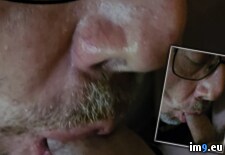 Cocksucker1 (#Gay #Exposed #Blowjob #Cocksucker #Andrew #Humiliation #Asheville) - 81 KB Tags: andrew, asheville, blowjob, cocksucker, exhibitionist, exposed, fag, faggot, gay, humiliation (Pict. in I'm Andrew and the internet is forever for faggots like me)