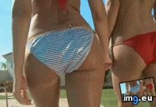 Tags: beeg, cold, cooling, girls, hot, pool (GIF in صور سكس متحركة)