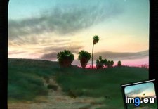 Tags: bunch, california, colorado, dawn, desert, landscape, palms, two (Pict. in Branson DeCou Stock Images)