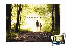 Tags: compassion (Pict. in Rehost)