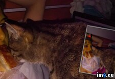 Tags: amateur, cosplay, hot, nude, pussy, selfies, sexy, slutty, tits, valentina, wetpussy (Pict. in Valentina nude selfies)