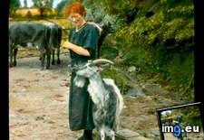 Tags: county, donegal, farm, goat, woman (Pict. in Branson DeCou Stock Images)