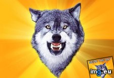 Tags: courage, day, seize, throat, wolf (Pict. in Rehost)