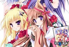 _cover ( #Cover) - 45 KB Tags: cover (Pict. in torscrape)
