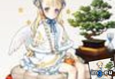 cover ( #Cover) - 5 KB Tags: cover (Pict. in jpgtest4)