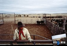 Tags: cowpoke (Pict. in National Geographic Photo Of The Day 2001-2009)