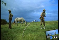 Tags: cuban, farmers (Pict. in National Geographic Photo Of The Day 2001-2009)