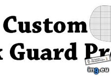 Tags: banner, guard, pick, project (Pict. in Roots Music images)