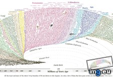 Tags: birth, branches, earth, life, major, minor, woahdude (Pict. in My r/DATAISBEAUTIFUL favs)