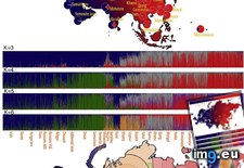 Tags: eurasia, genetic, landscape (Pict. in My r/DATAISBEAUTIFUL favs)