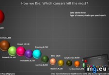 Tags: cancer, cancers, die, kill (Pict. in My r/DATAISBEAUTIFUL favs)