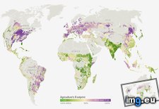 Tags: crops, easier, ended, feed, grew, human, map, planet, stomachs (Pict. in My r/DATAISBEAUTIFUL favs)