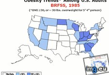 Tags: america, obesity, rates, years (GIF in My r/DATAISBEAUTIFUL favs)