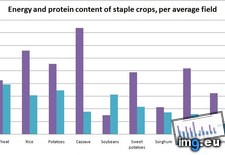 Tags: comparison, crops, energy, food, protein, staple (Pict. in My r/DATAISBEAUTIFUL favs)