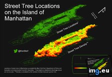 Tags: locations, manhattan, street, tree (Pict. in My r/DATAISBEAUTIFUL favs)