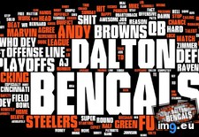 Tags: american, football, nfl, season, team, words (Pict. in My r/DATAISBEAUTIFUL favs)