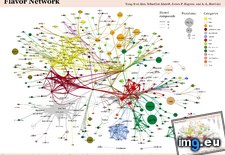 Tags: backbone, food, network (Pict. in My r/DATAISBEAUTIFUL favs)