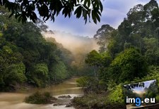 Tags: borneo, dawn, malaysia, river, sabah, segama (Pict. in Beautiful photos and wallpapers)