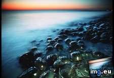 Tags: crabs, delaware, horseshoe (Pict. in National Geographic Photo Of The Day 2001-2009)