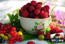 Tags: 1366x768, berries, wallpaper (Pict. in Food and Drinks Wallpapers 1366x768)
