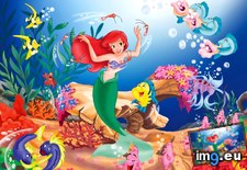 Tags: disney, mermaid, wallpaper, wide (Pict. in Unique HD Wallpapers)