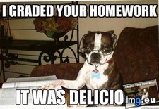 Dog Graded Your Homework! (funny pic) (#Funny #Dog #Homework #Graded) - 50 KB Tags: dog, funny, graded, homework (Pict. in Rehost)