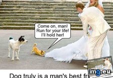 Tags: dog, friend, man (Pict. in Rehost)