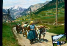 Tags: carts, dolomites, drawn, villagers (Pict. in Branson DeCou Stock Images)