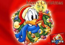 Tags: cartoons, donald, duck, for, kids, red, xmas (Pict. in Cartoon Wallpapers And Pics)