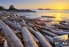 Tags: british, columbia, driftwood, island, national, pacific, park, reserve, rim, vancouver (Pict. in Beautiful photos and wallpapers)