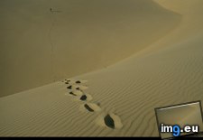 Tags: dune, footprints (Pict. in National Geographic Photo Of The Day 2001-2009)