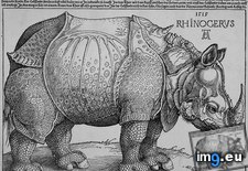 Tags: durer, rhinoceros (Pict. in Durer)