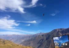 Tags: 3264x2448, baby, canyon, canyons, condor, deepest, flying, one, peru, solo, world (Pict. in My r/EARTHPORN favs)
