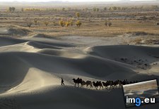 Tags: 3500x2333, autonomous, camels, desert, edge, leads, man, region, taklamakan, uighur, xinjiang (Pict. in My r/EARTHPORN favs)