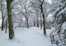 Tags: arboretum, arnold, jamaica, plain, winter (Pict. in My r/EARTHPORN favs)