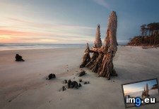 Tags: buried, carolina, coast, driftwood, hunting, illuminated, island, morning, south, sunlight (Pict. in My r/EARTHPORN favs)