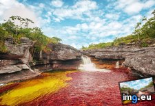Tags: colombia, cristales, meta, river (Pict. in My r/EARTHPORN favs)