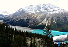 Tags: canada, lake, perfection, peyto (Pict. in My r/EARTHPORN favs)