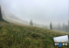 Tags: 2448x1836, cascades, foggy, meadow, mountain, northern (Pict. in My r/EARTHPORN favs)
